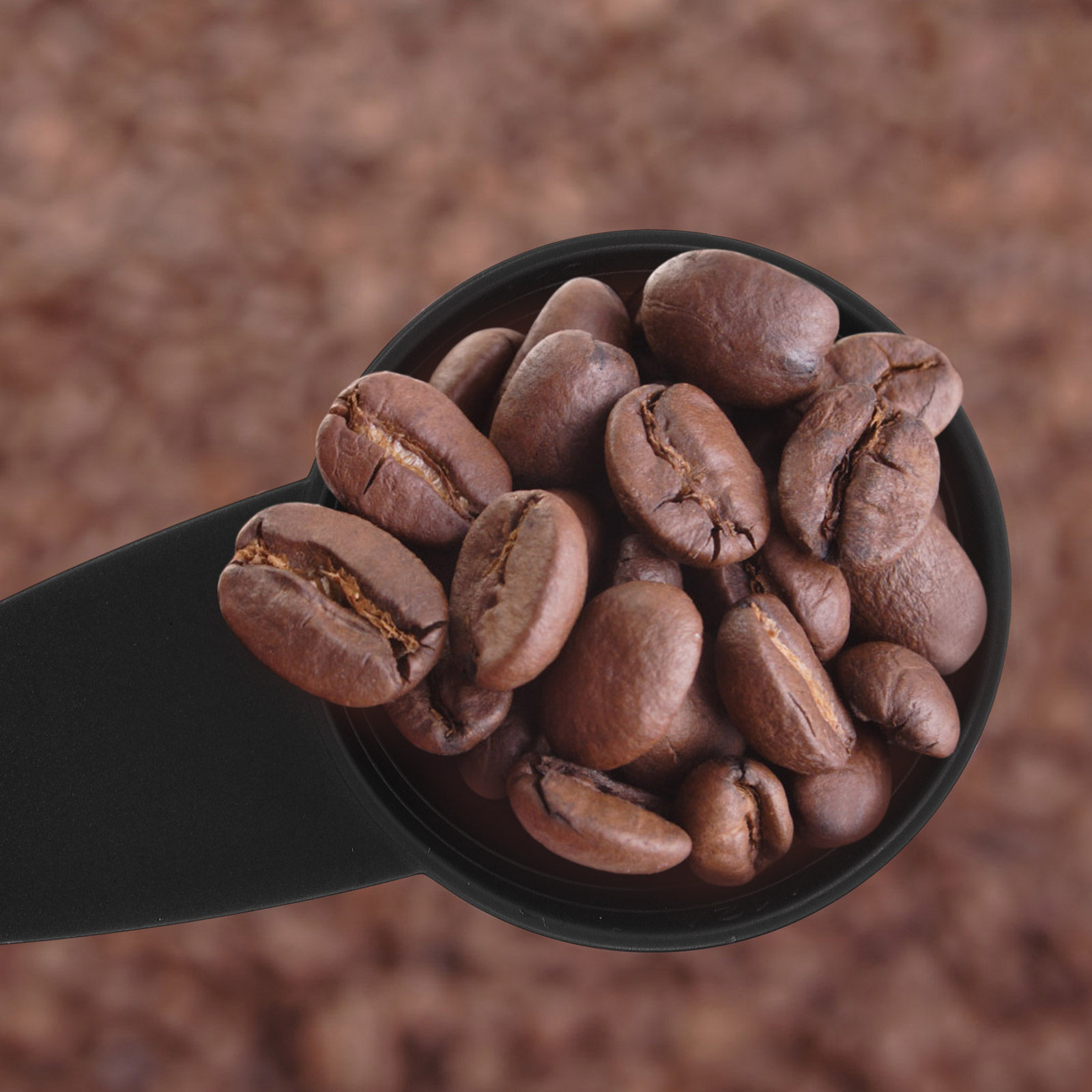 ช้อนตวง 5 ชิ้น ด้ามยาว ช้อนตัก - Coffee Tea Sugar บทวิจารณ์และราคา